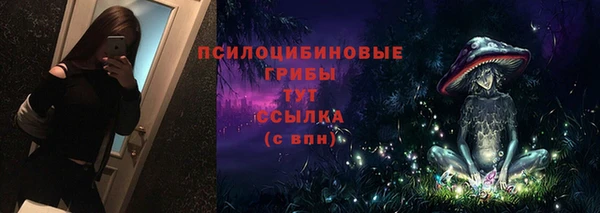 дживик Строитель