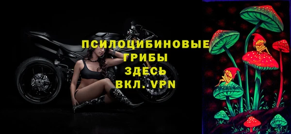 дживик Строитель