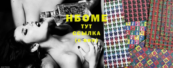 дмт Пионерский