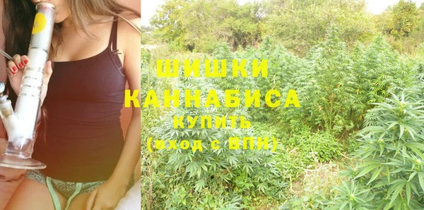 мдпв Тавда