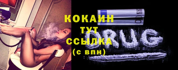 мдпв Тавда
