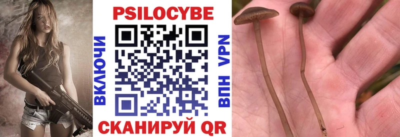 Галлюциногенные грибы Psilocybine cubensis  Харовск 